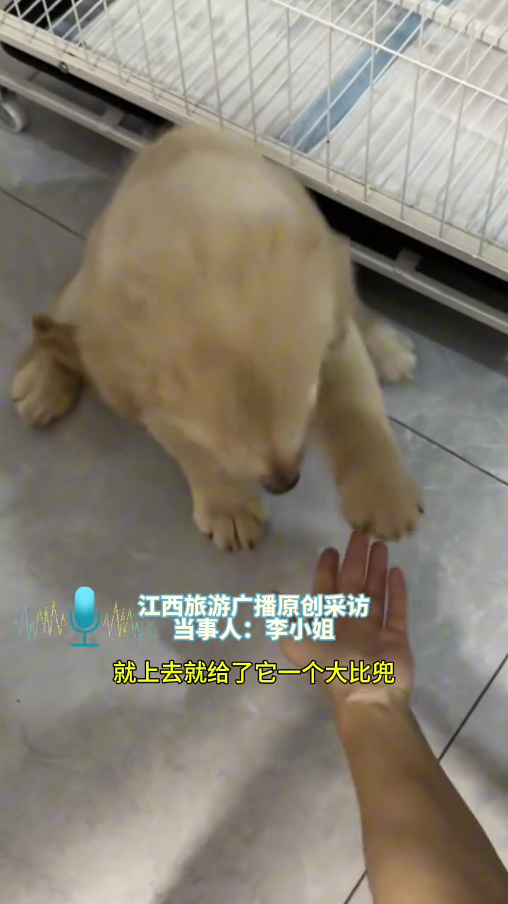 没有什么是一个大逼兜解决不了的！