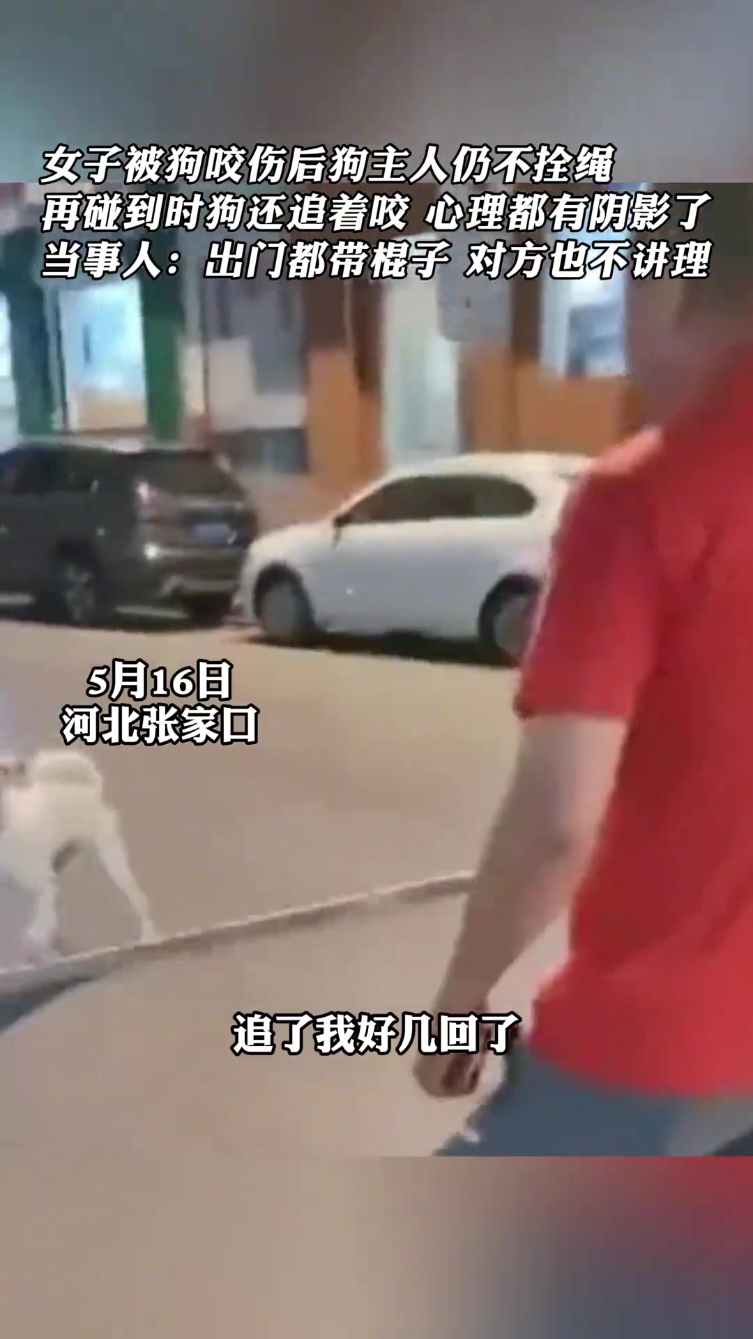 遛狗牵绳，这么难吗？！