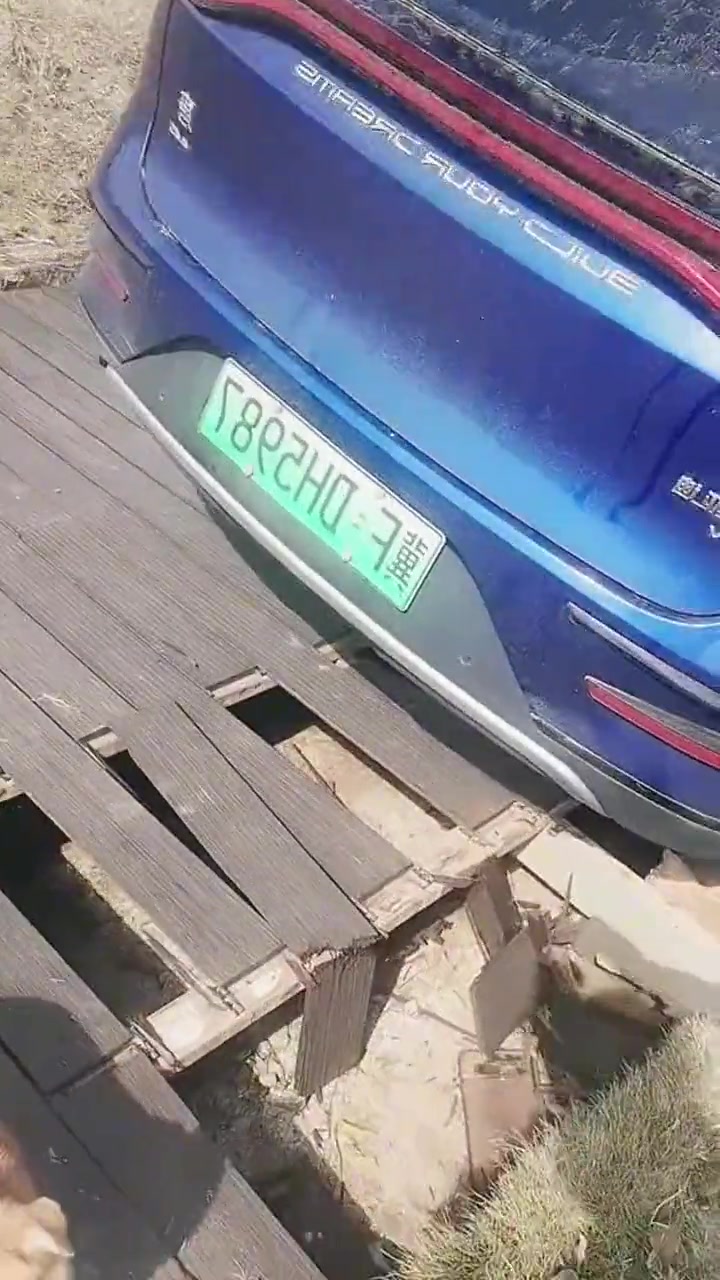 驴都知道要绕路走