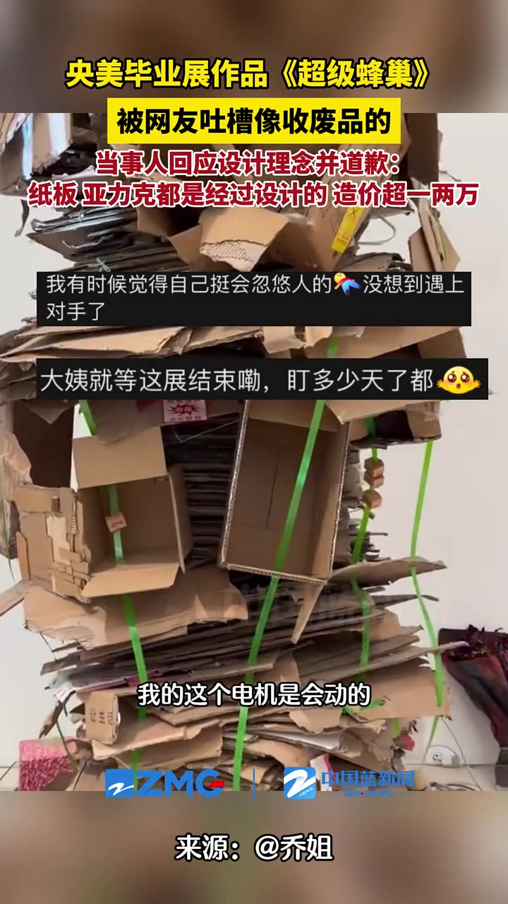 央美毕业展作品《超级蜂巢》被网友吐槽像收废品的