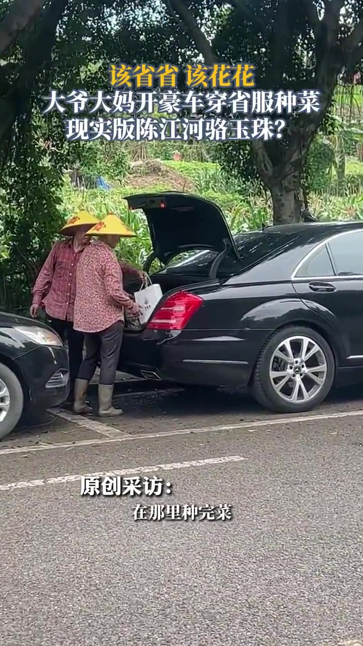 是迈巴赫吗?该省省该花花大爷大妈开豪车穿省服种菜！
