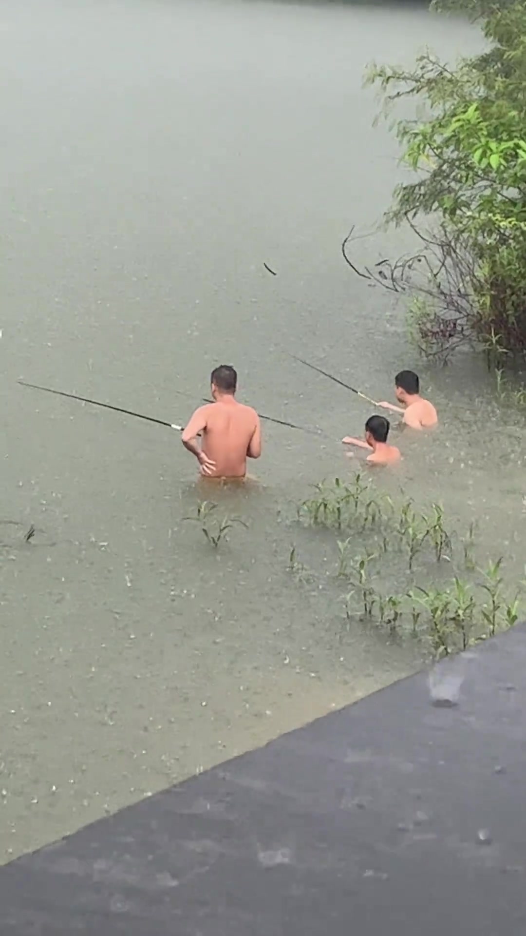 钓鱼佬以身入局
