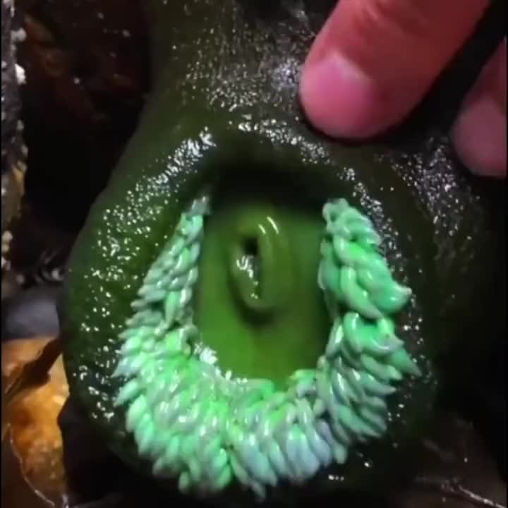 吧友们敢有什么大胆的想法吗？