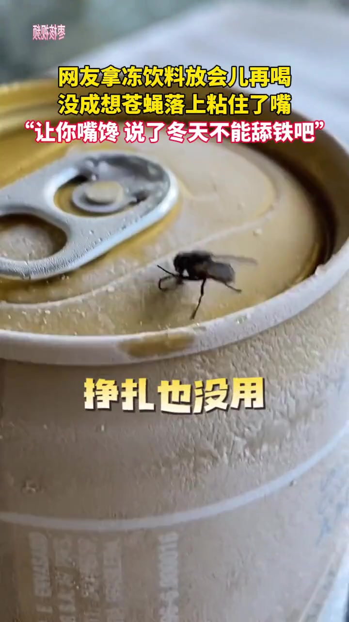 “让你嘴馋 说了冬天不能舔铁吧”