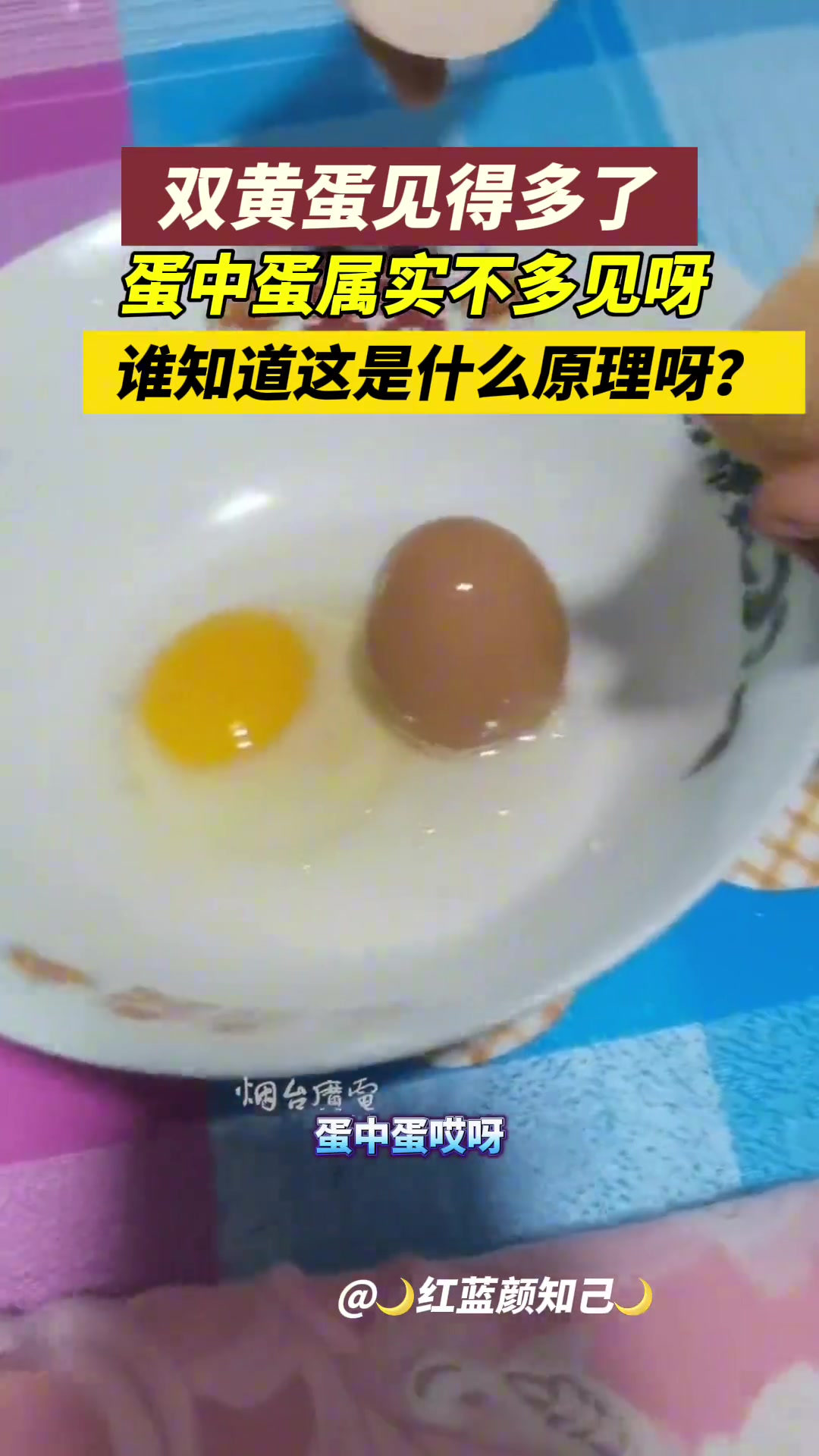 蛋中蛋？这是咋回事啊