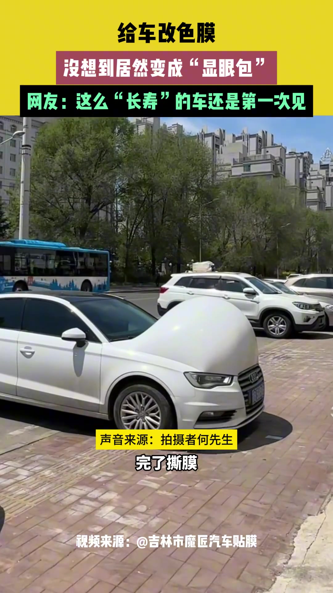 给车改色膜，没想到居然变成“显眼包”