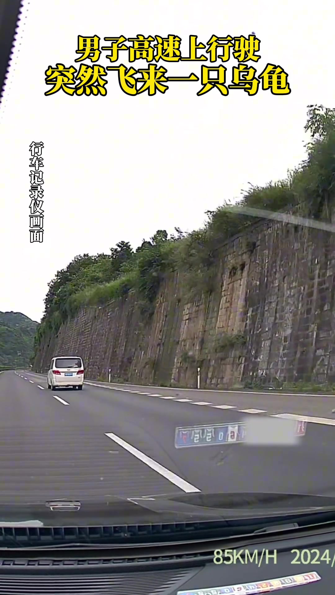 吓人！男子高速上行驶 突然飞来一只乌龟…