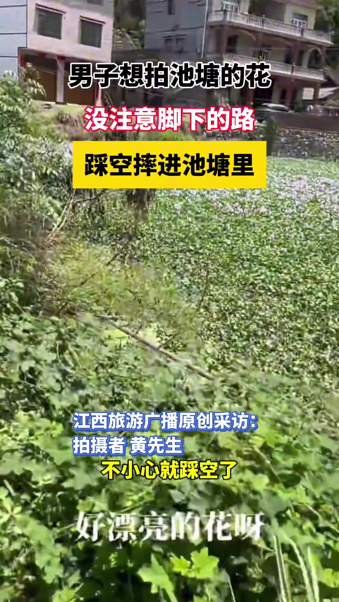 男子想拍池塘的花，没注意脚下的路，踩空摔进池塘里