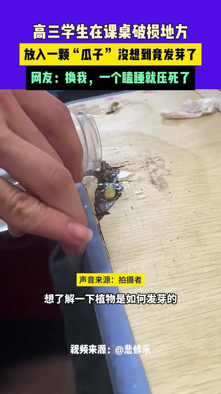 挺好，不能趴桌子睡觉了