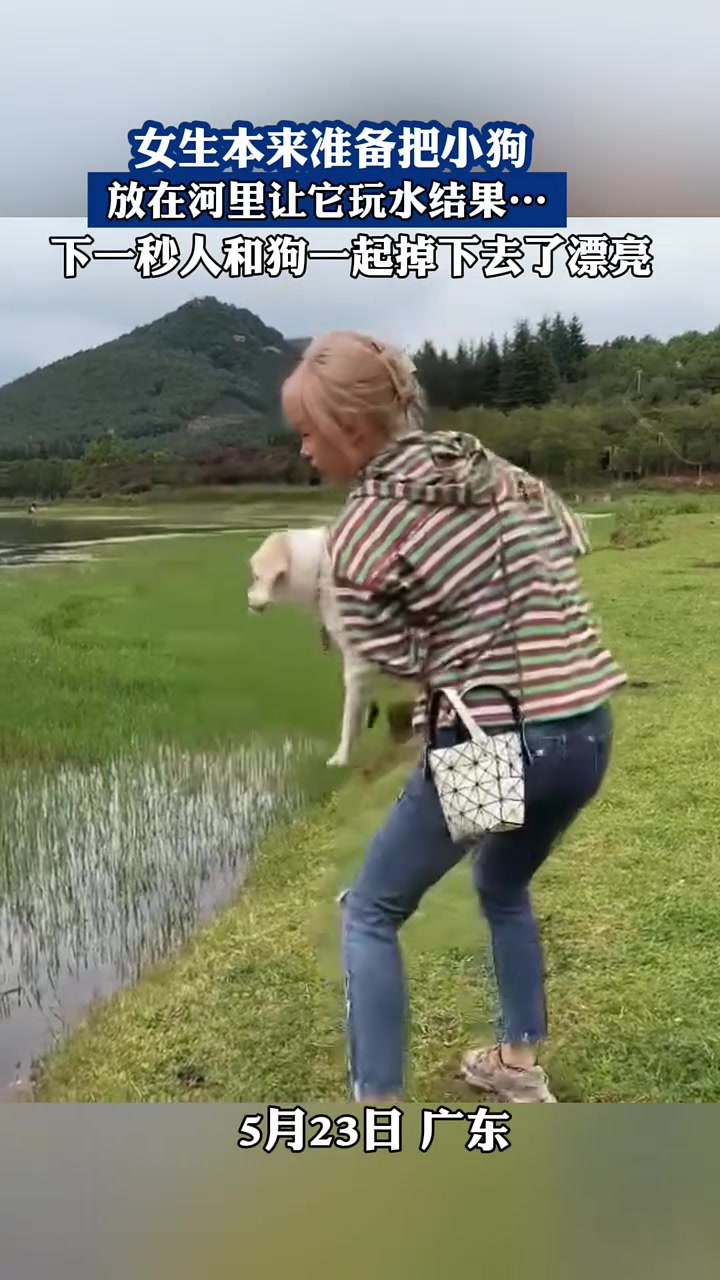 狗没下去，人倒是下去了