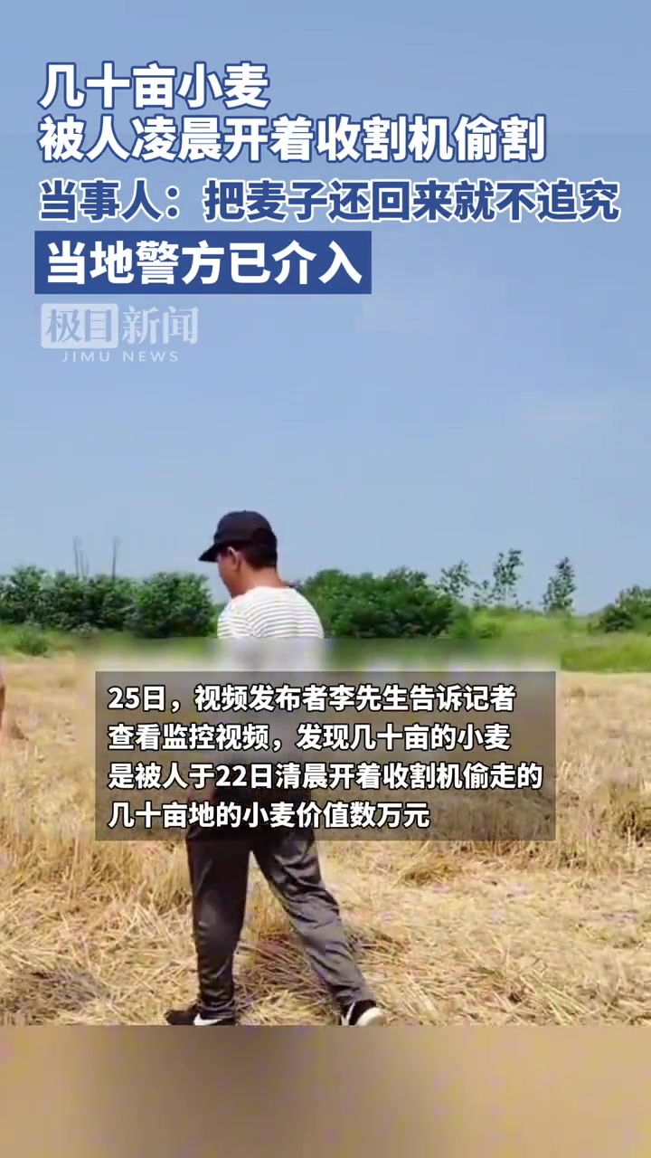 几十亩小麦竟被人凌晨开着收割机偷割
