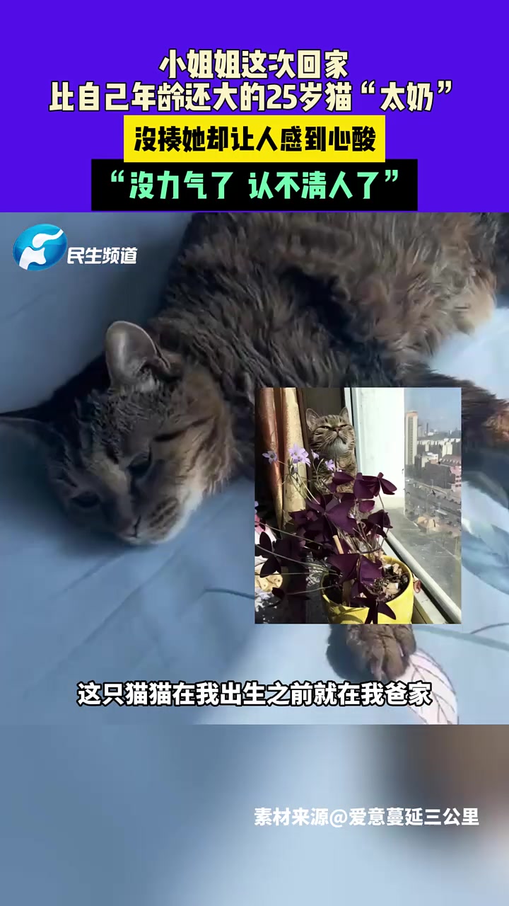 25岁的太奶！比小姐姐年龄还大！