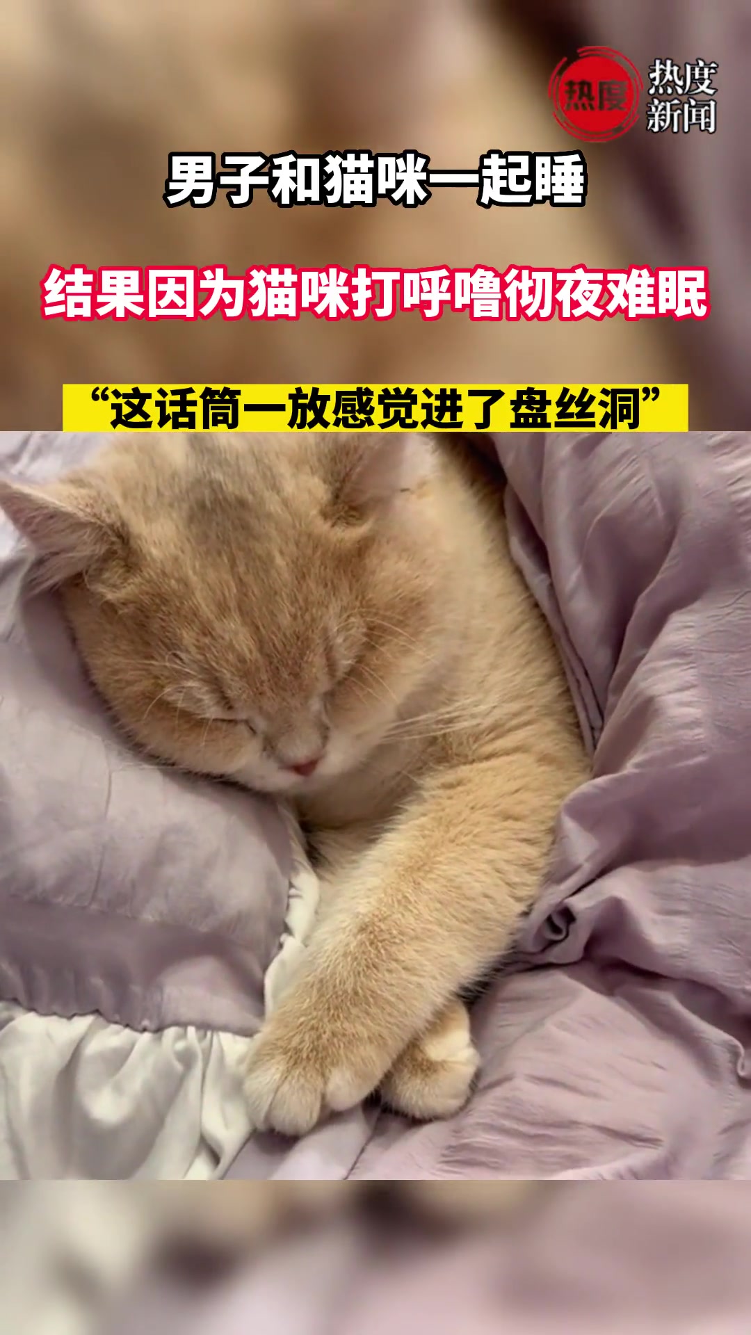 进了盘丝洞！