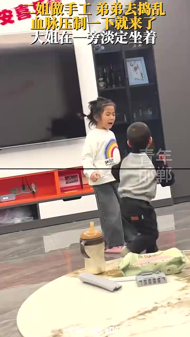 二姐做手工 弟弟去捣乱，血脉压制一下就来了