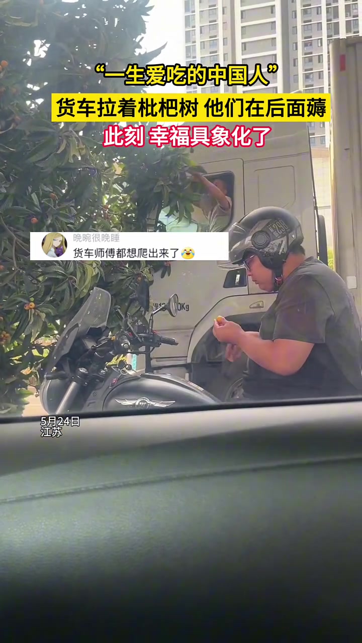 货车拉着枇杷树，他们在后面薅枇杷