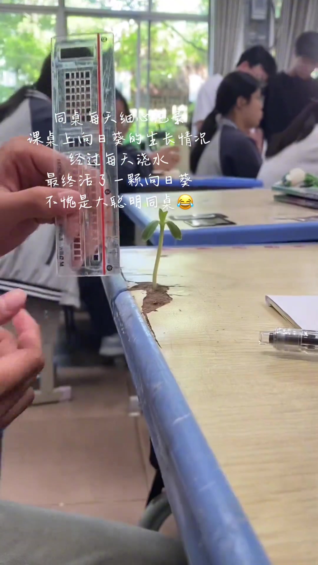 课桌上长苗算什么，我室友的袜子上还能长蘑菇呢！