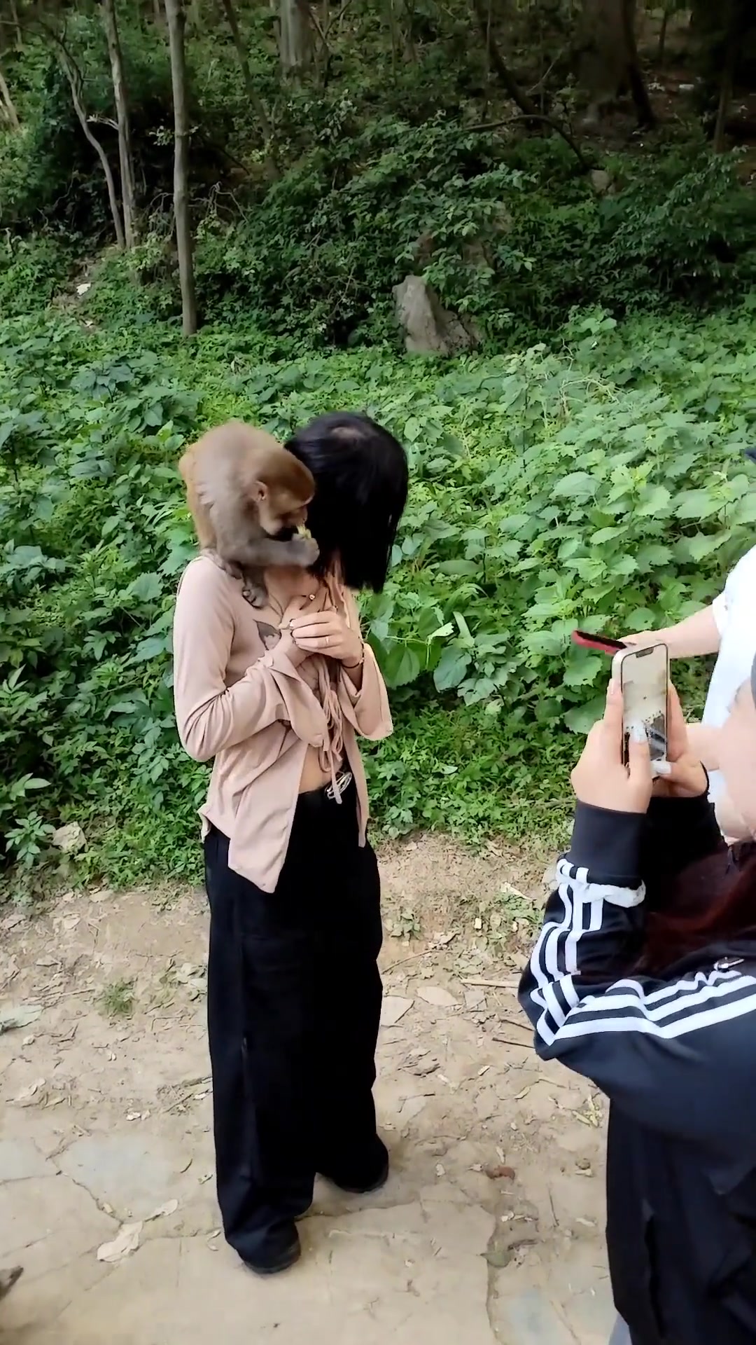 猴子你把我不敢干的事情干了，我羡慕你