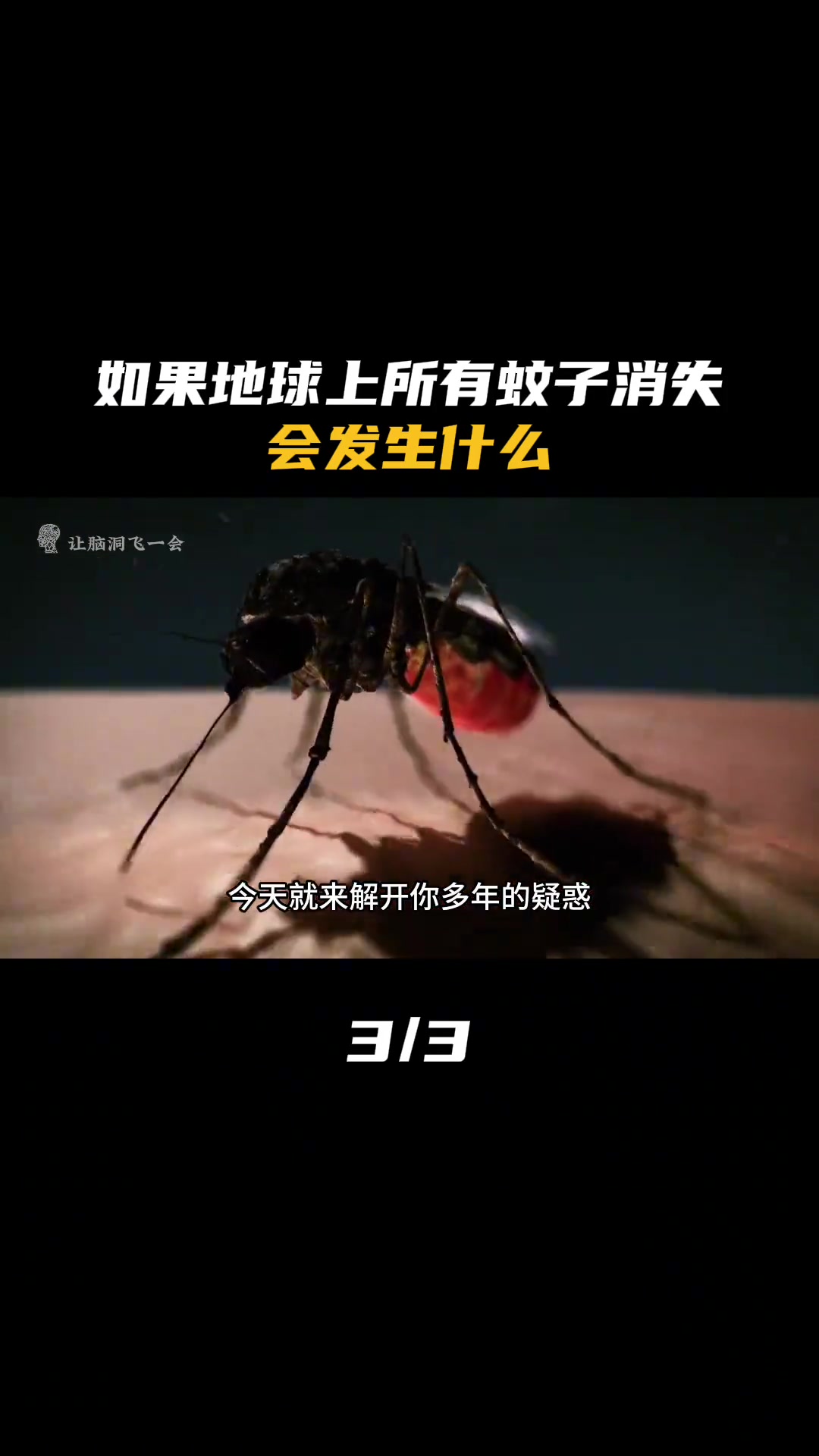 如果地球上所有蚊子消失，到底会发生什么（3）