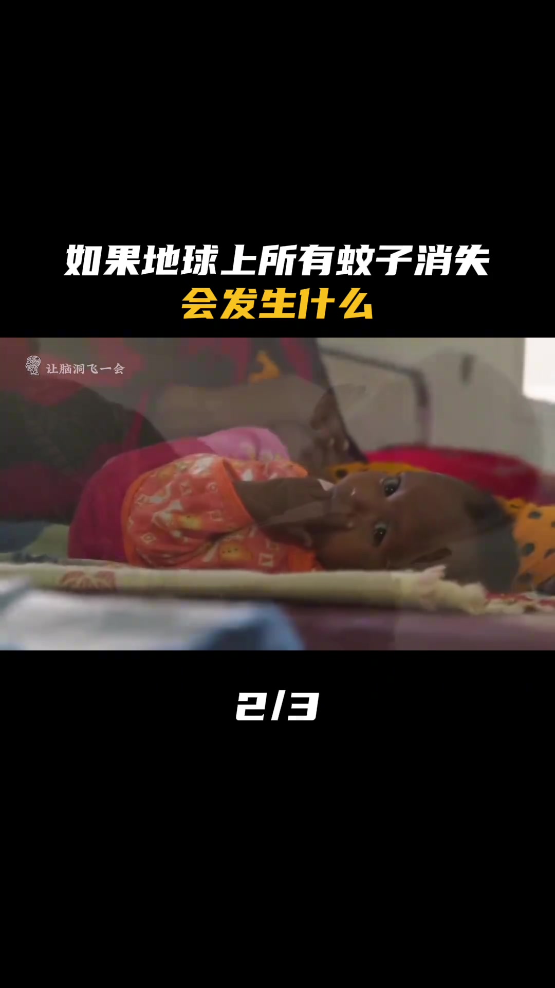 如果地球上所有蚊子消失，到底会发生什么（2）