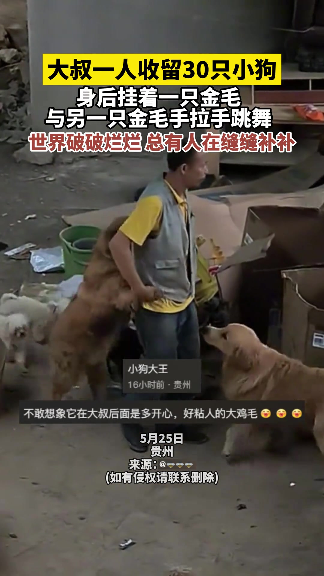 大叔一人收留30只小狗，在废品堆中和小狗手拉手跳舞！