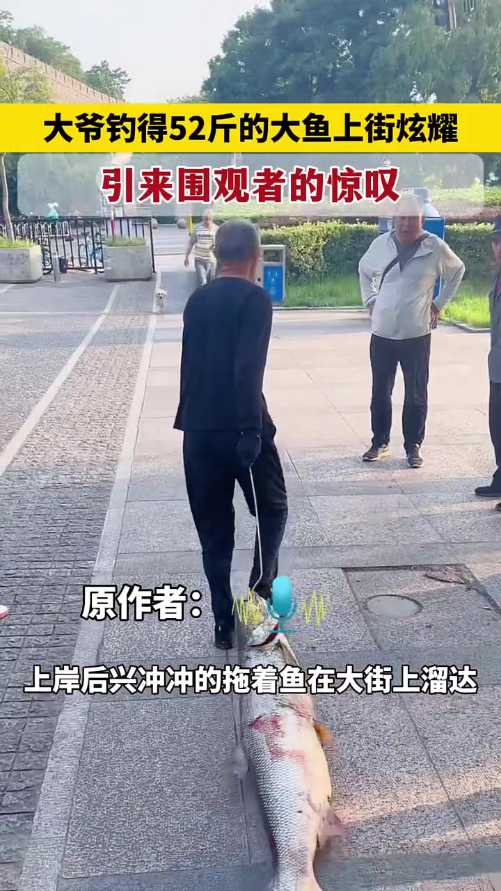 鱼是下午上的，人是半夜回家的