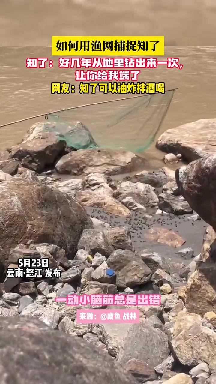 这玩意不都是在树上的吗？