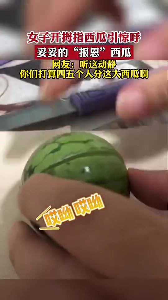 这西瓜，快拿掏耳勺来一人分一勺！