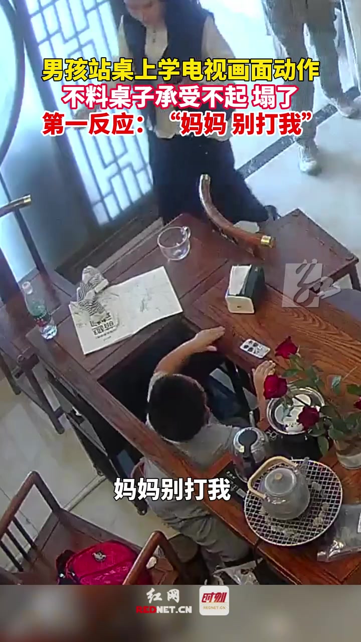男孩闯祸第一反应竟是：妈妈，别打我！