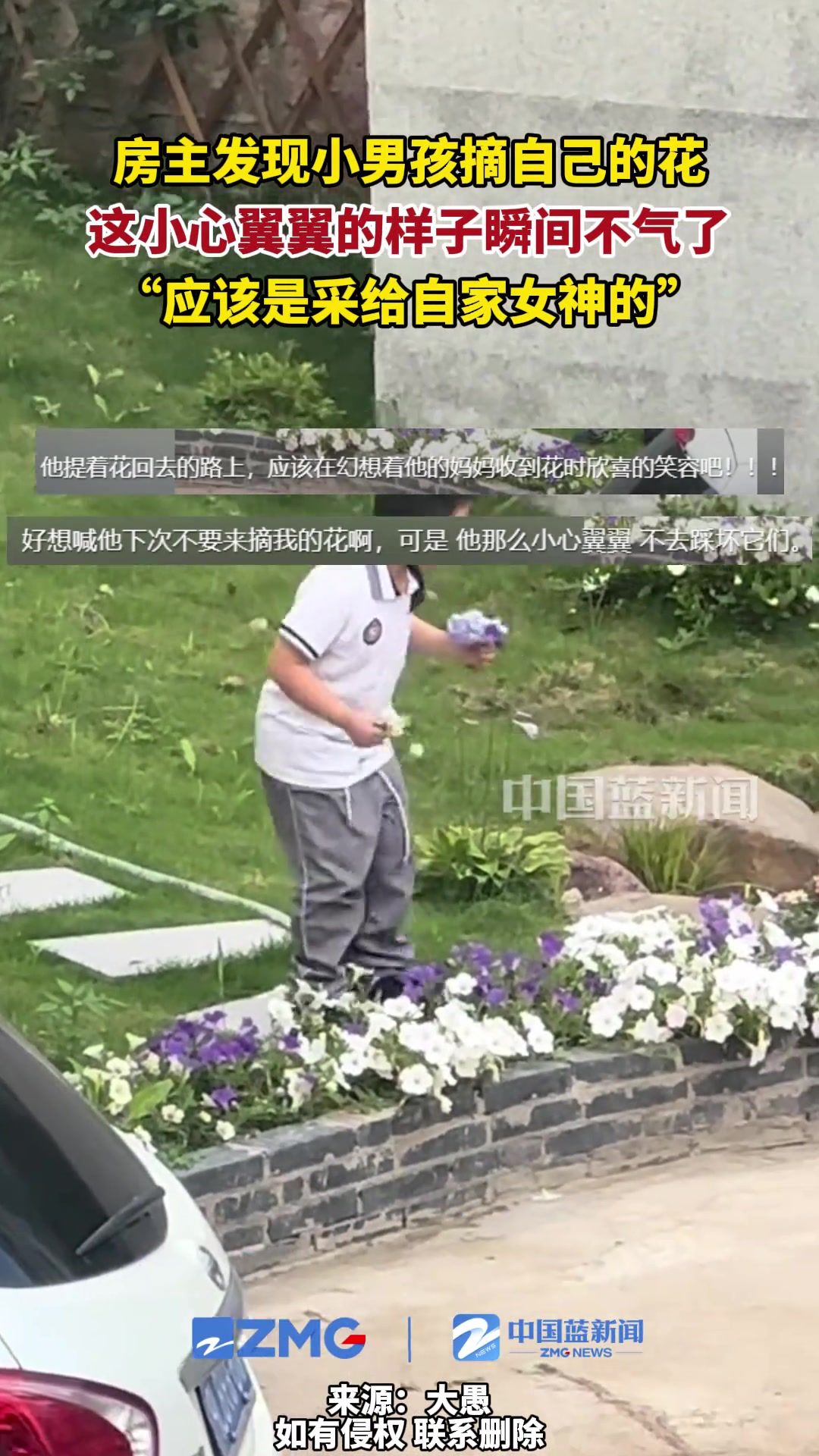 房主发现男孩摘自家花，这小心翼翼的样子瞬间不气了