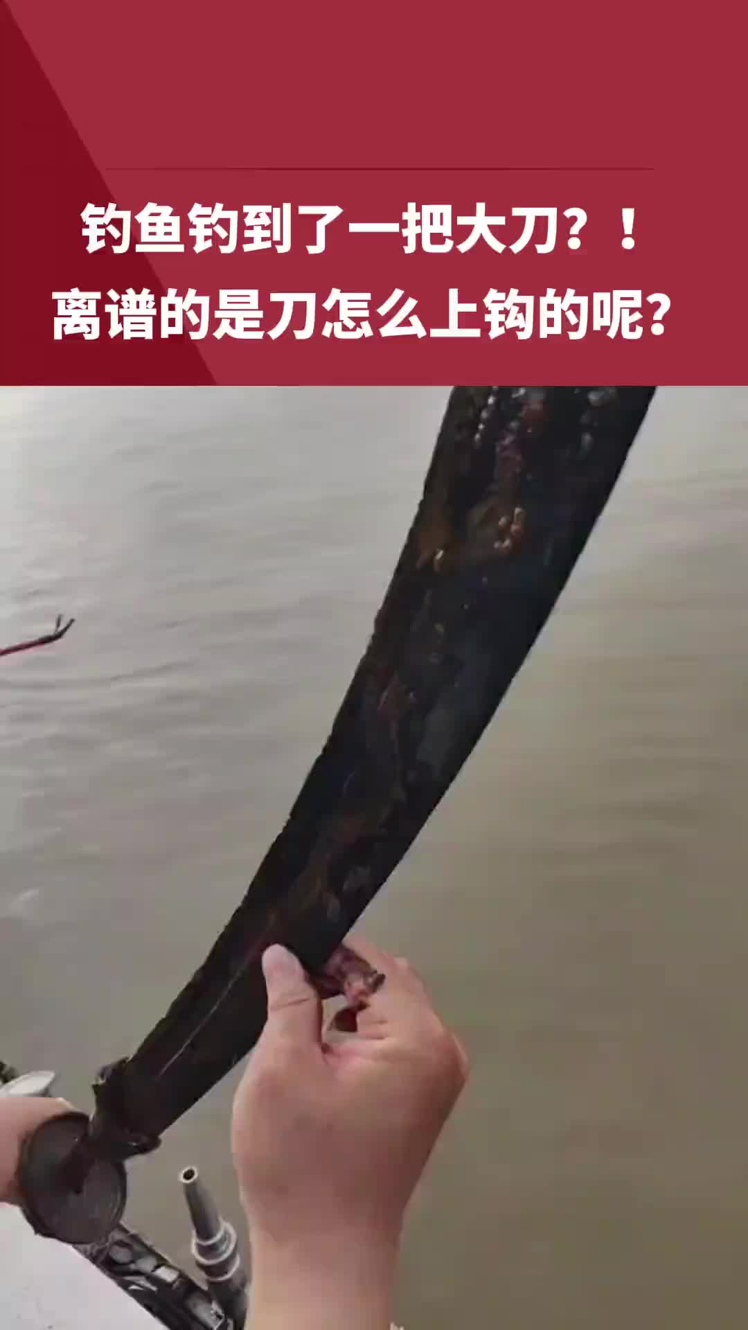 钓鱼佬除了鱼其他什么都能钓到！