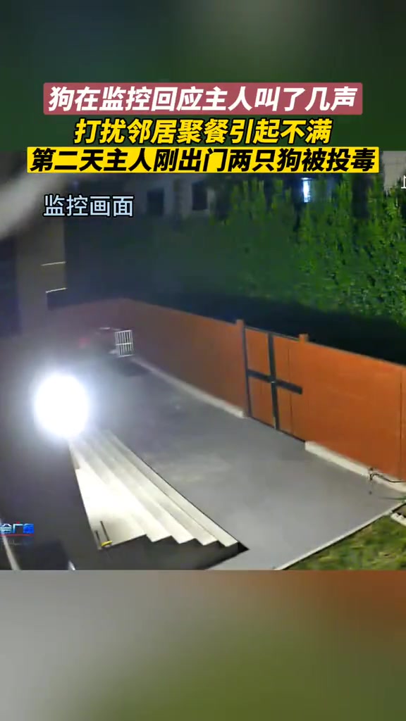 第二天狗就被毒死！疑因邻居不满狗叫投毒！