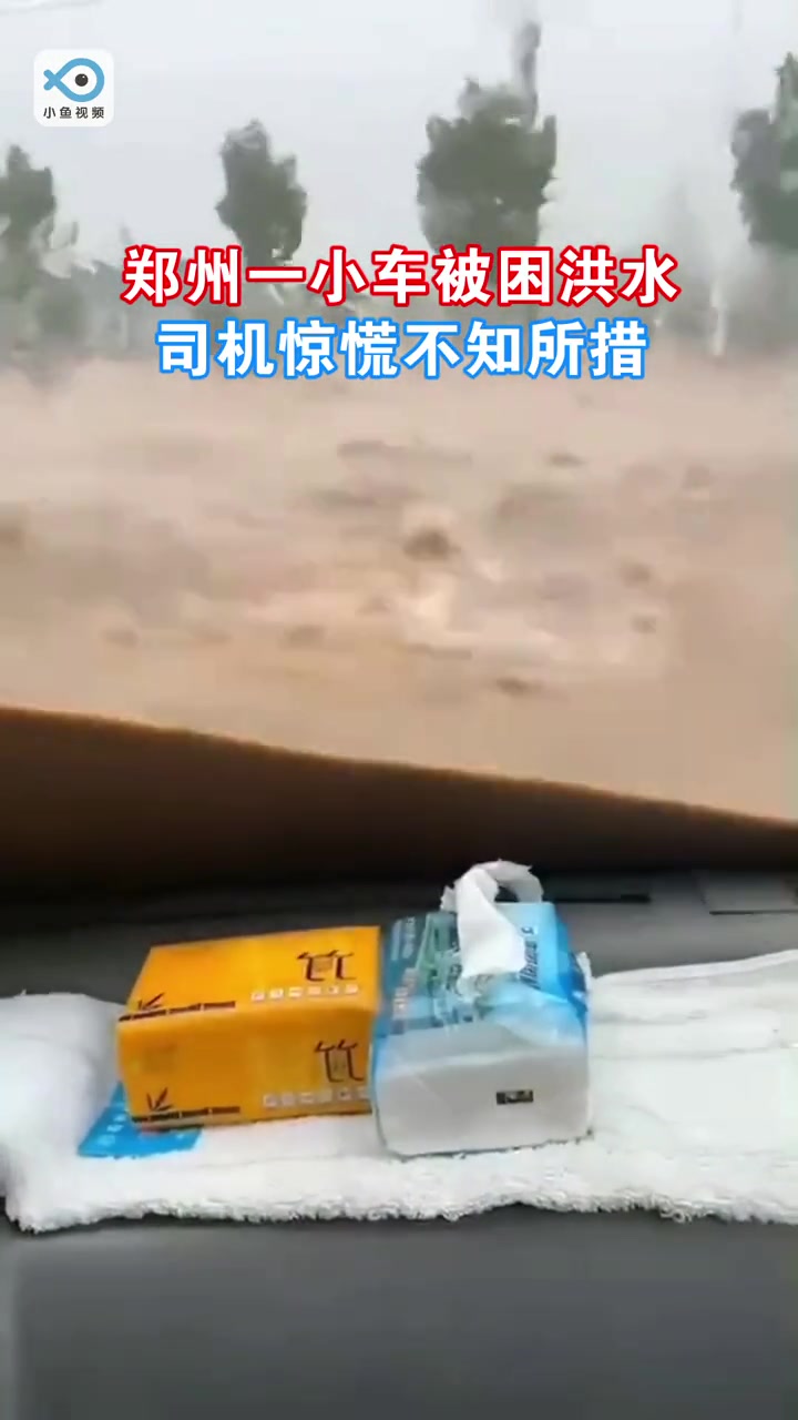 一小车被洪水所困 司机惊慌得不知所措