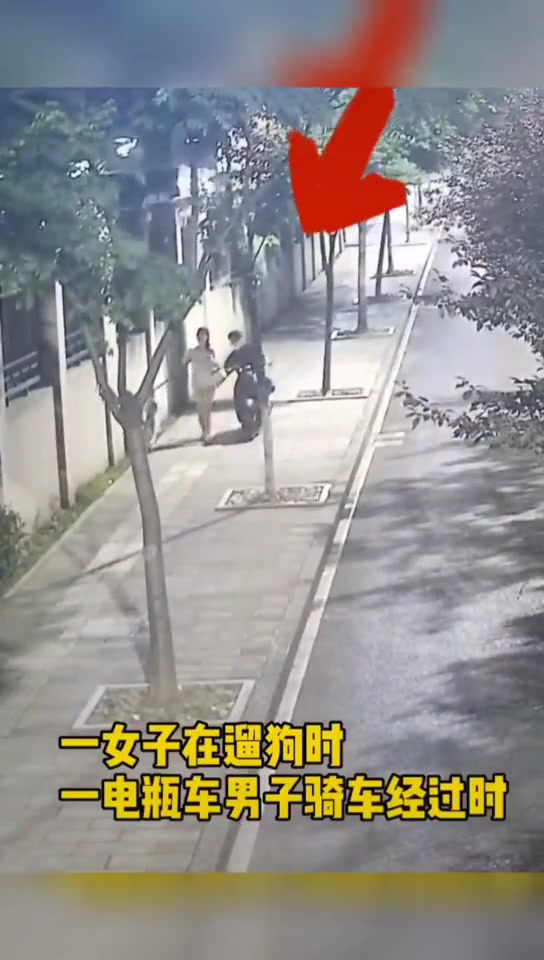 女子独自出门遛狗 遭骑车的陌生男子猥亵