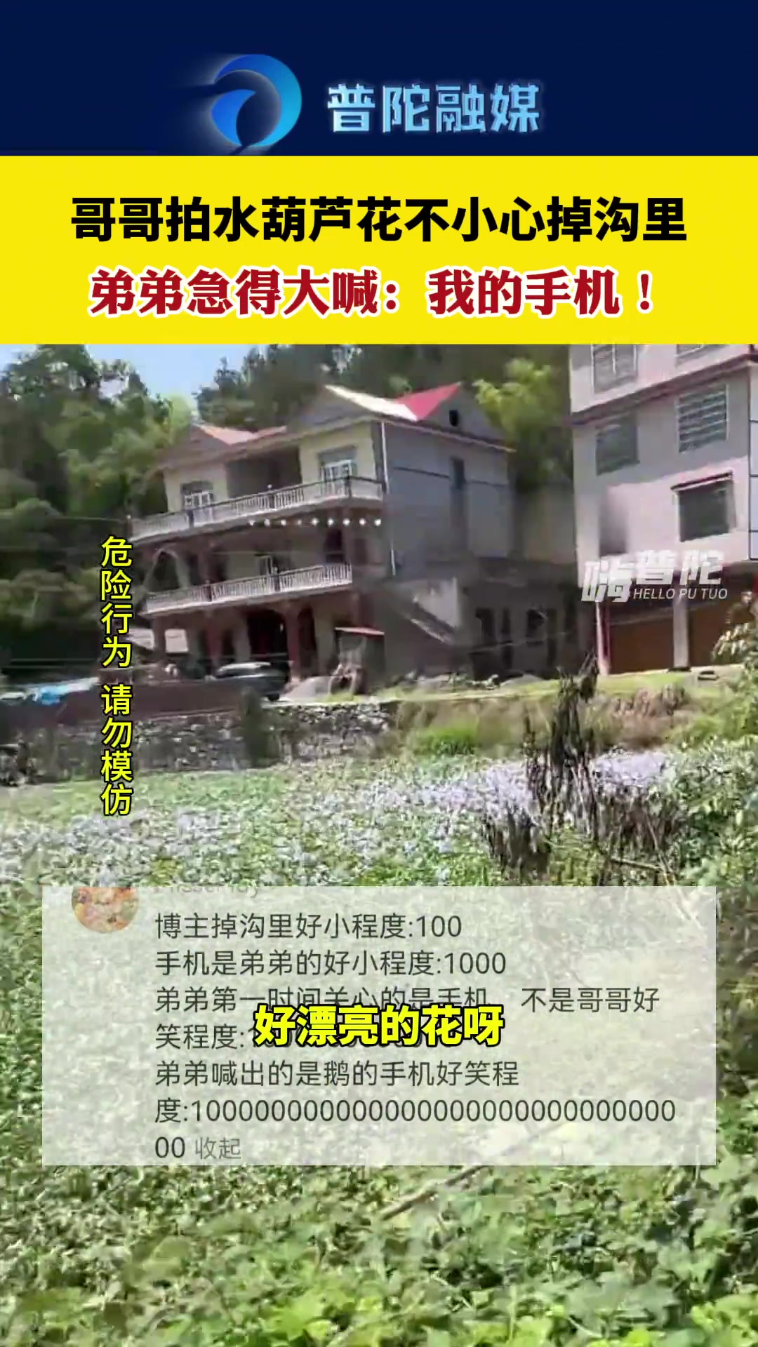 网友：拍给我们看看得了 不用下去摘