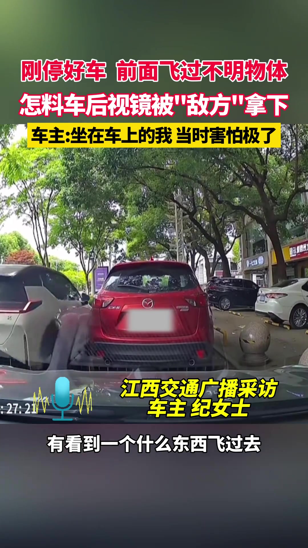 刚停好车前面飞过不明物体 怎料后视镜被“敌方”拿下