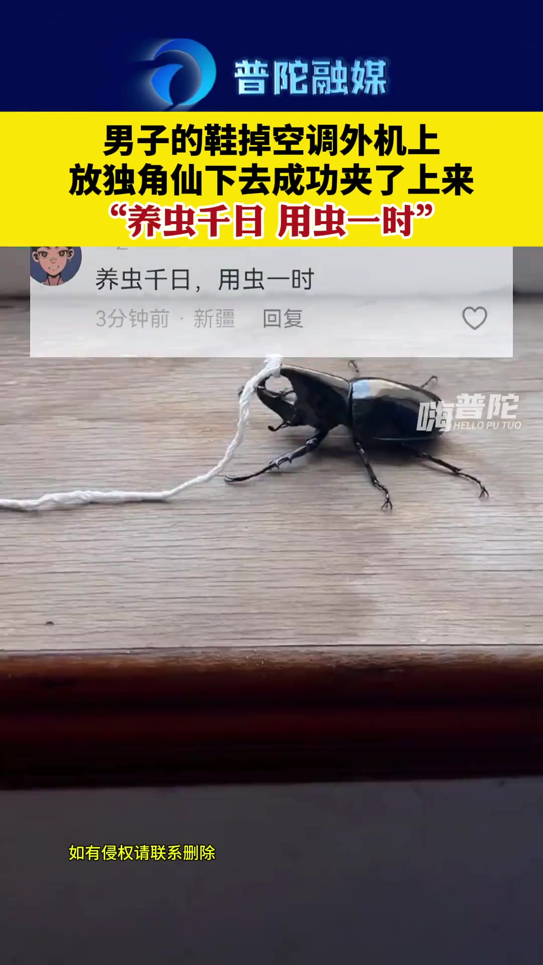 果然！养虫千日 用虫一时