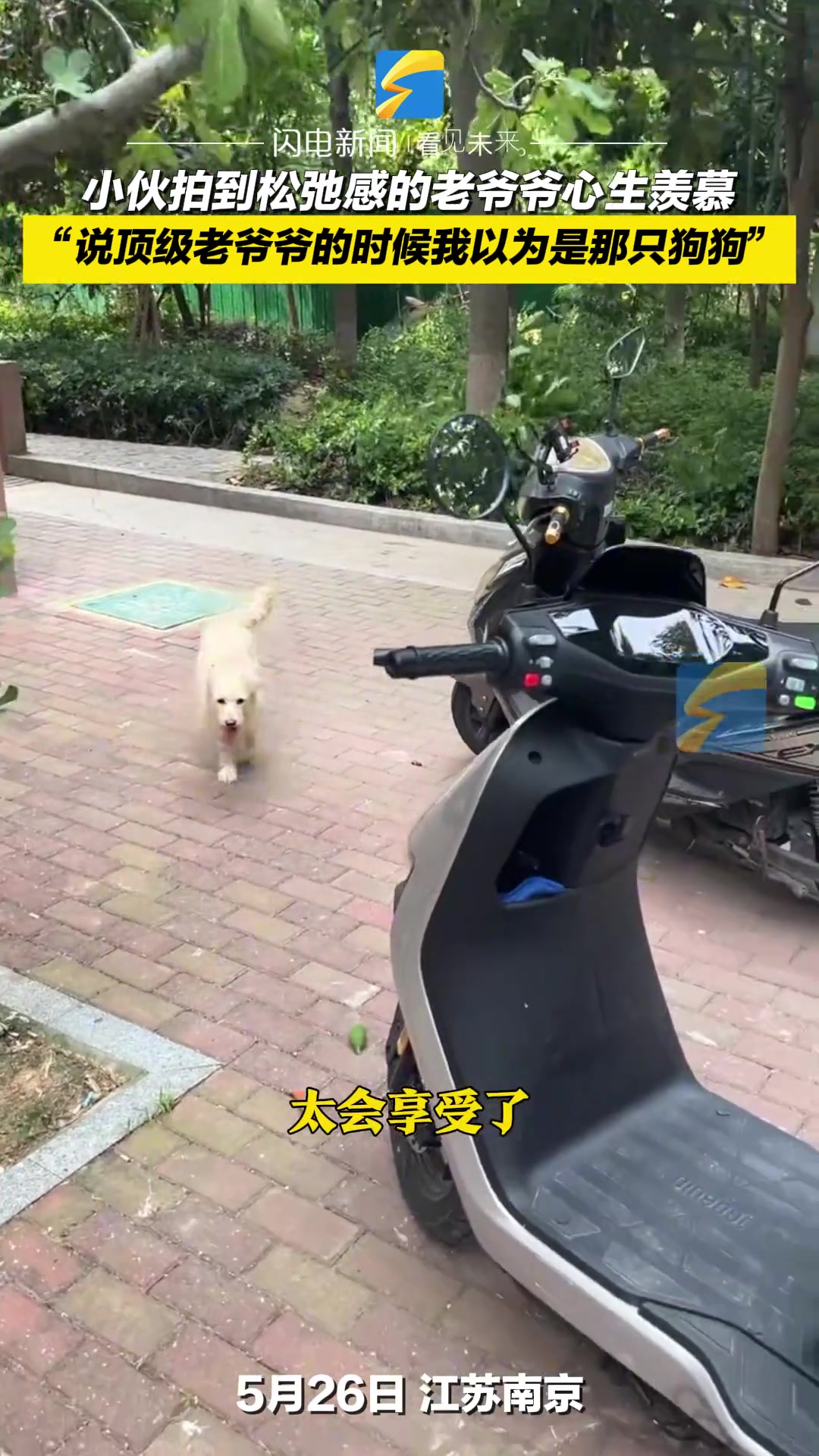 小伙拍到松弛感的老爷爷心生羡慕 直呼老了也要这样