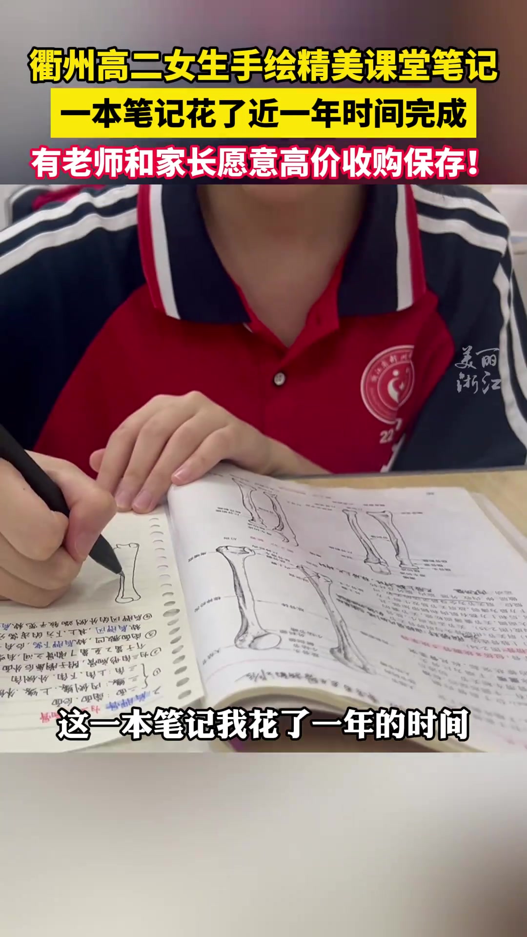 女生手绘精美课堂笔记，有老师和家长愿意高价收购保存