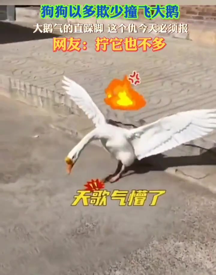 互殴，各炖30分钟