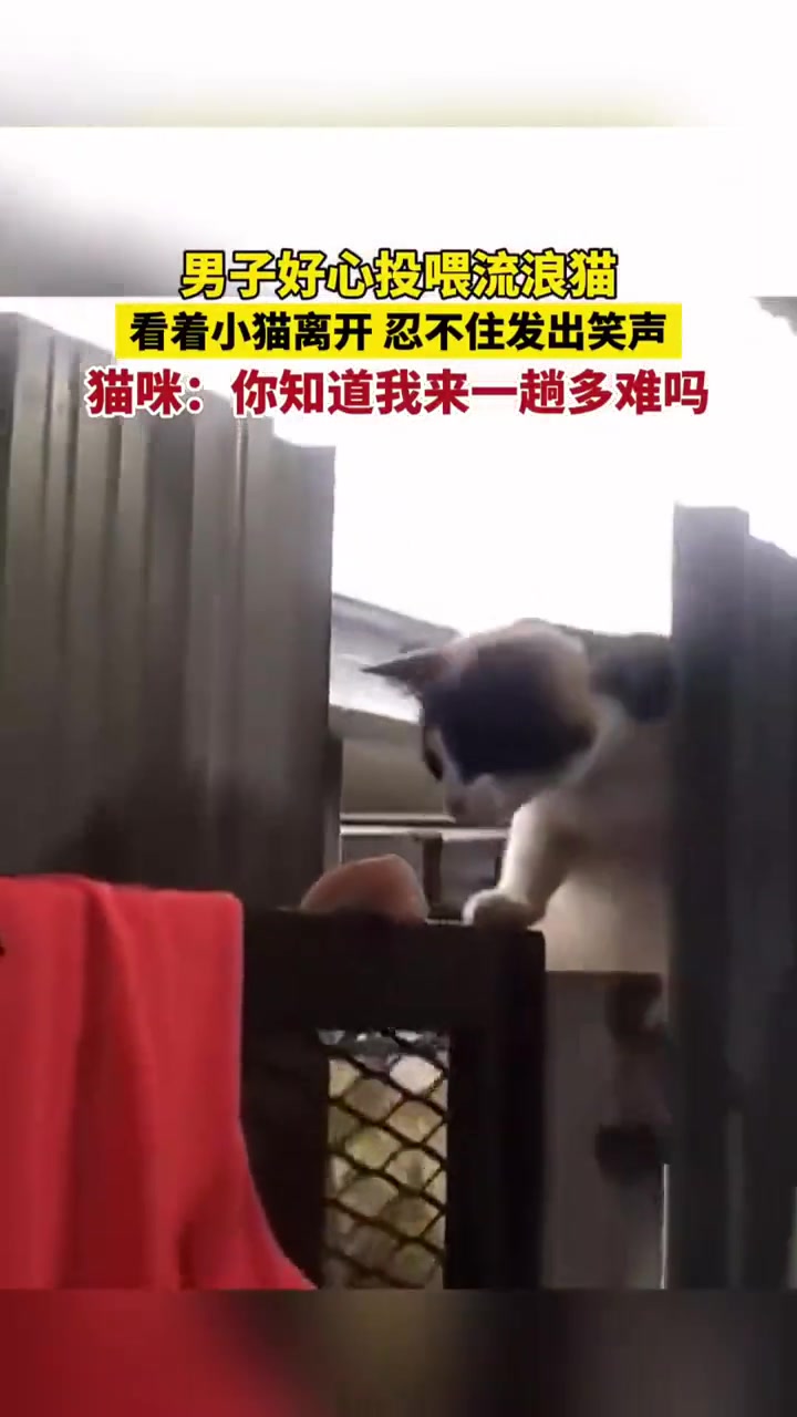 不白吃，给你上才艺