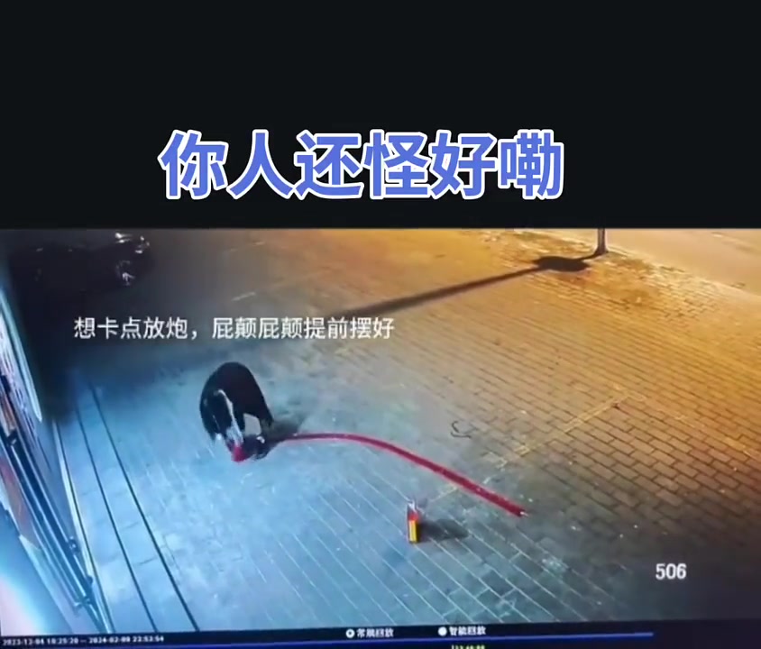 不是特意的才是最好的