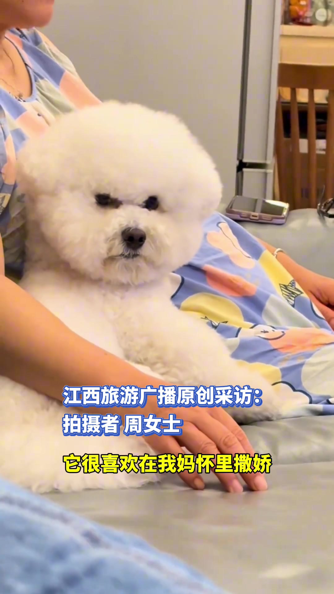狗狗在妈妈怀中撒娇，女子趁机告状被狗狗回头怒瞪