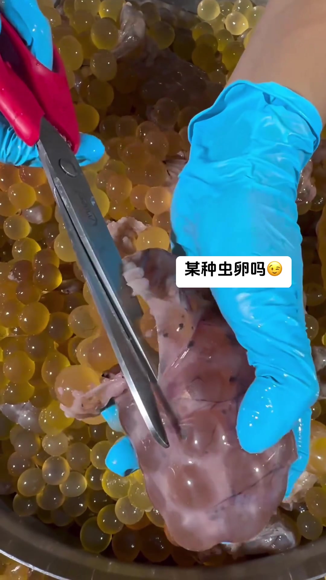 这是某种虫卵吗？看的我密恐犯了