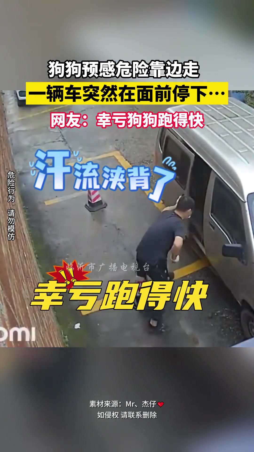 面包车经过时戛然而止，狗狗预感不妙机敏逃过一劫…