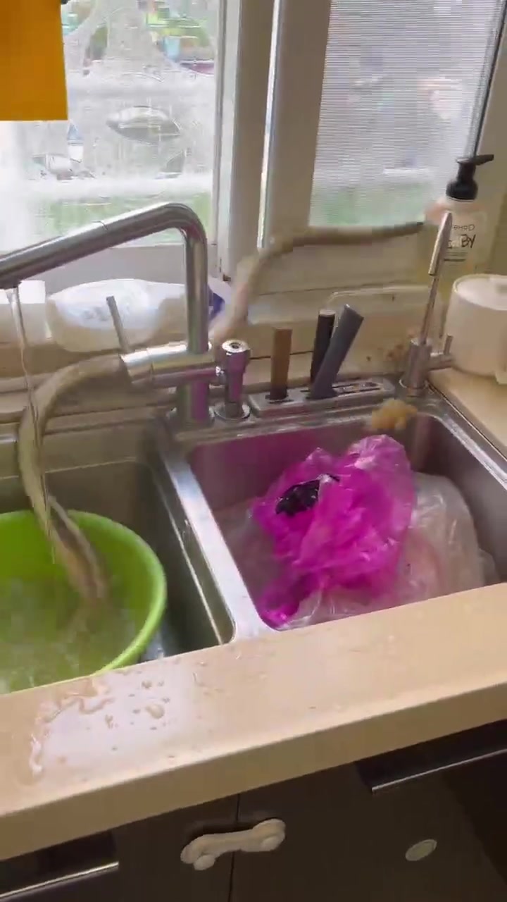 鱼：我要在你家里写个惨字