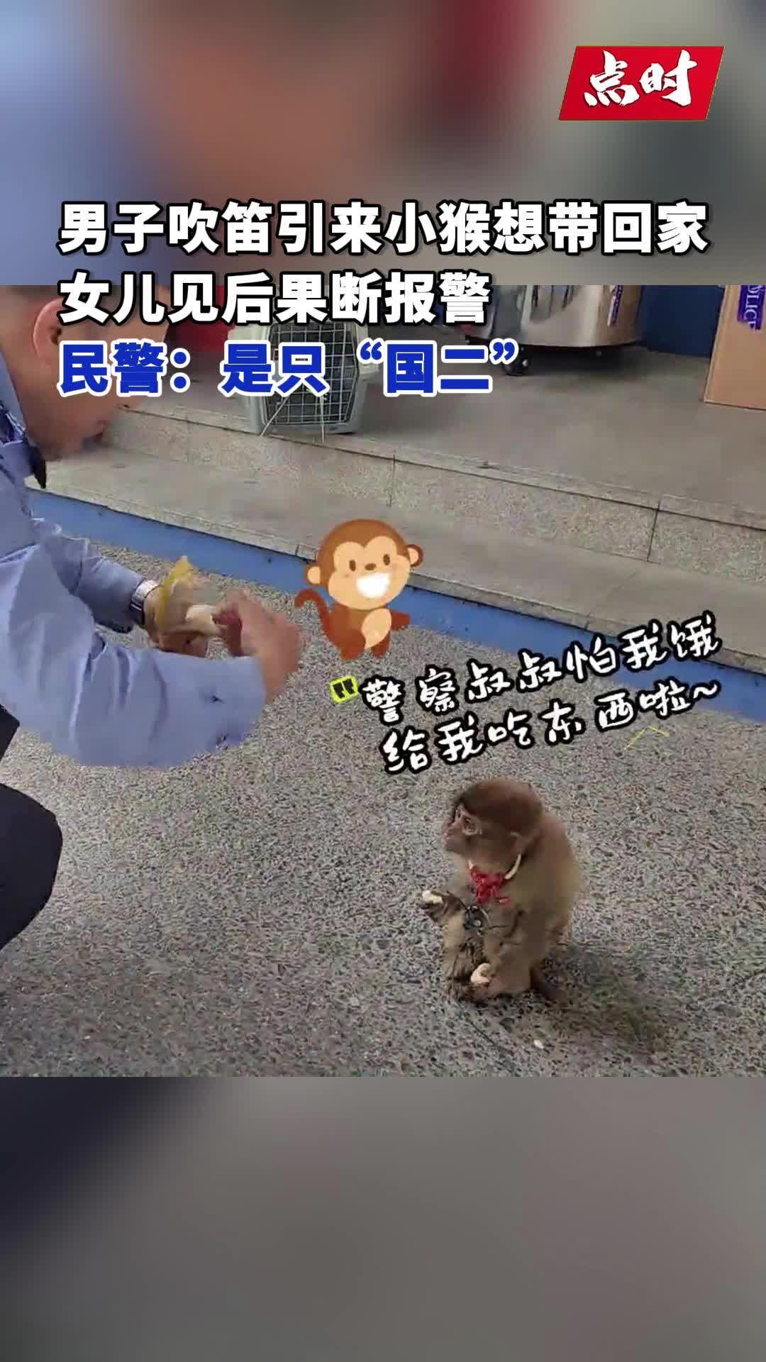 男子吹笛引来猴子，想带回家女儿果断报警！