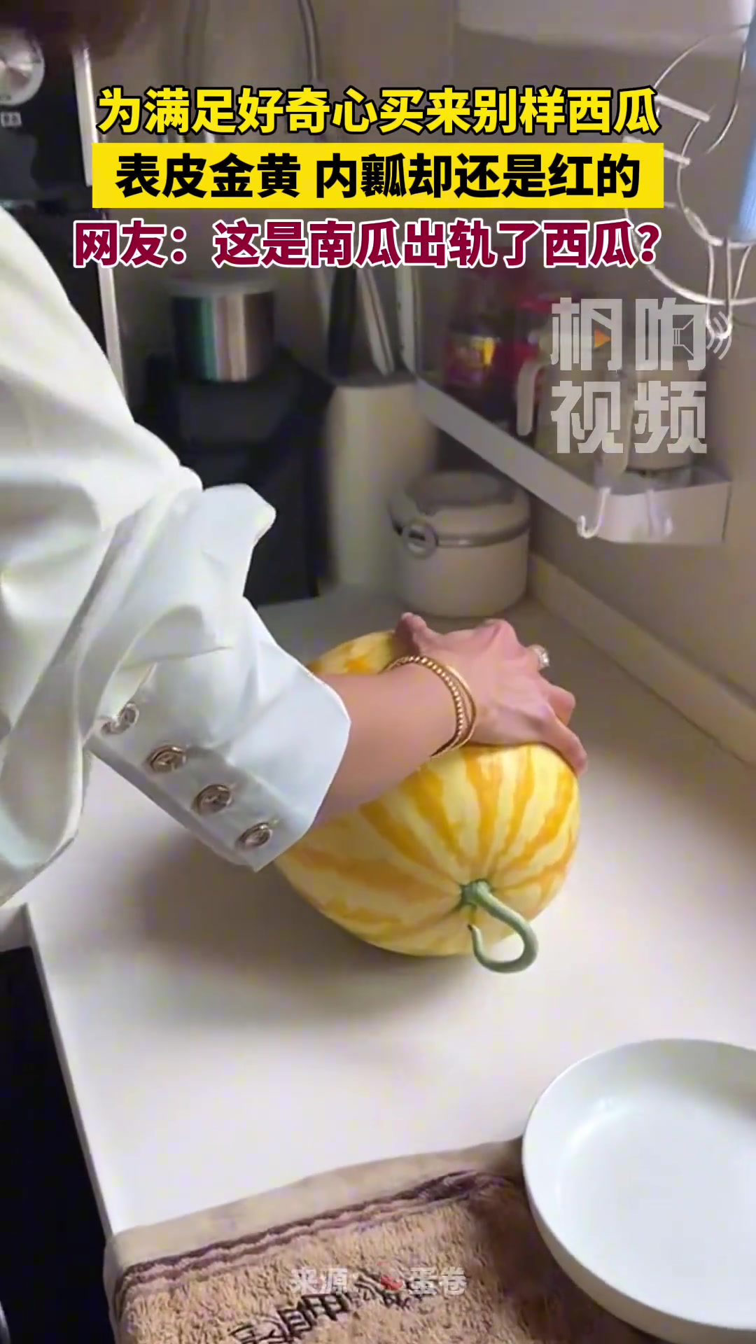 小姐姐买来奇葩西瓜，不为吃的只为满足好奇心！