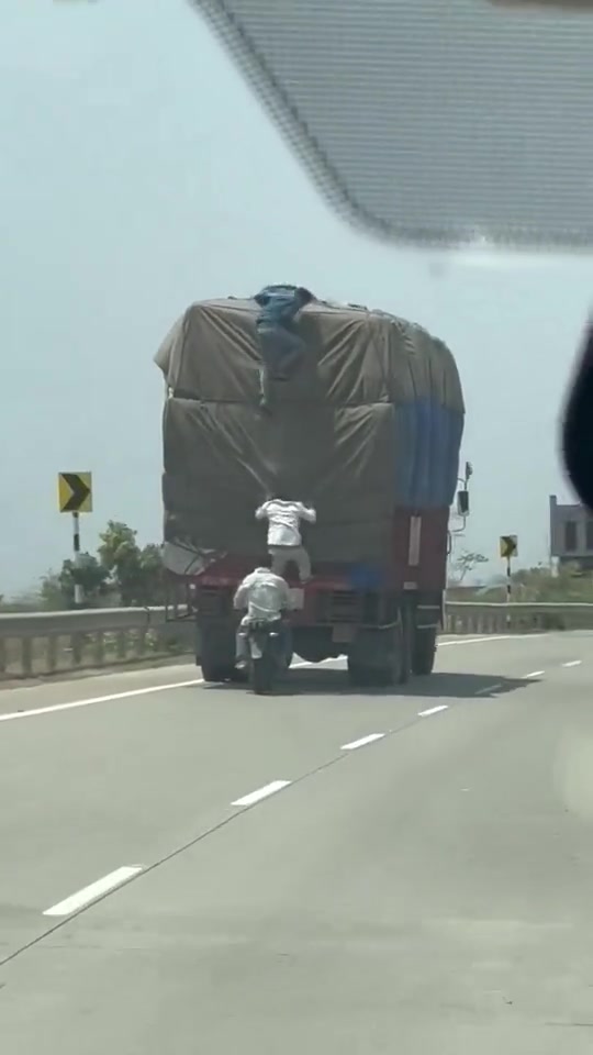 这是真不害怕啊！