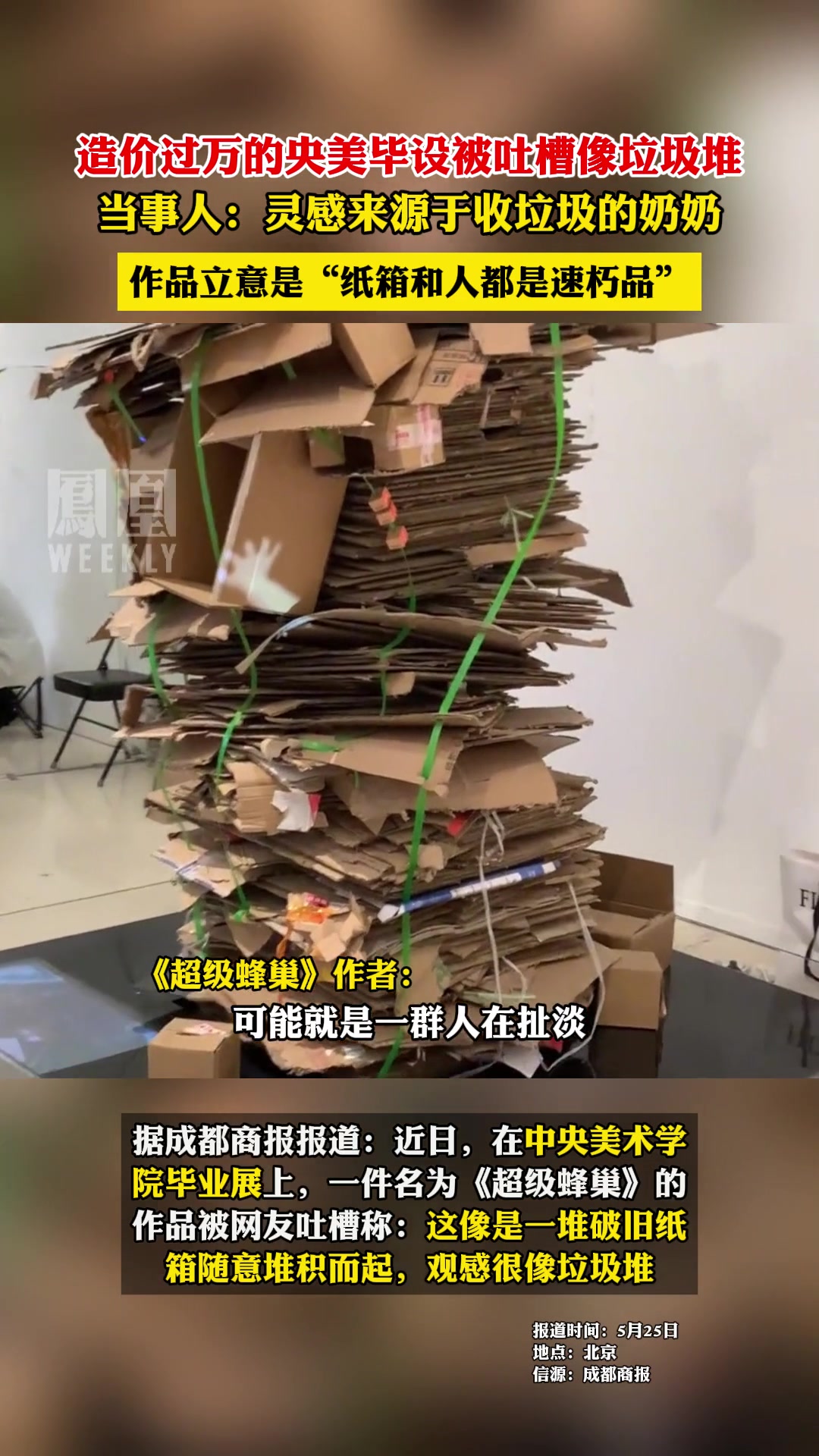 造价过万的央美毕设被吐槽像垃圾堆