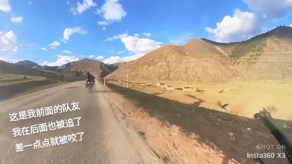 你可以跑得比狗慢，但是必须必队友快！